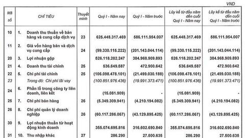 Phát Đạt (PDR) báo lãi quý 1 đạt 279 tỷ đồng, tăng 11% so với cùng kỳ nhờ chi phí giá vốn giảm sâu