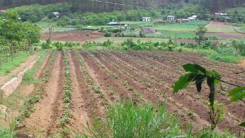 "Sốt" đất nông nghiệp, nhà đầu tư mạnh tay xuống tiền bất chấp rủi ro