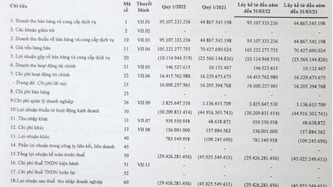 Sau quý 4/2021 có lãi, Vận tải biển Phương Đông (NOS) trở lại báo lỗ 29 tỷ đồng trong quý 1/2022