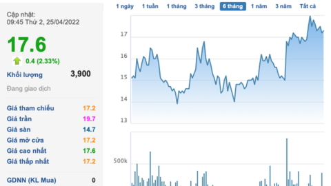 Quỹ đầu tư hạ tầng PVI bán bớt 3 triệu cổ phần Afiex (AFX) ở vùng đỉnh, thu về 57 tỷ đồng