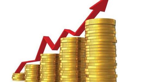 Giá cả thuận lợi, nhiều doanh nghiệp thu 2 đồng lãi 1 đồng