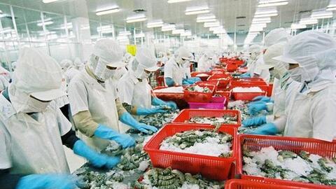 Xuất khẩu thủy sản tăng gần 44%