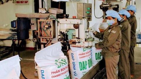 Phục hồi nhanh gấp 3, 4 lần VN-Index, cổ phiếu phân bón có còn “cửa” tăng?