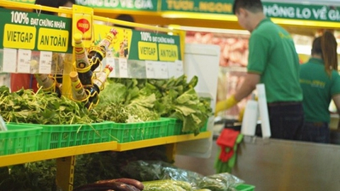 Bách Hóa Xanh lỗ lũy kế gần 5.000 tỷ đồng trước thềm chào bán riêng lẻ