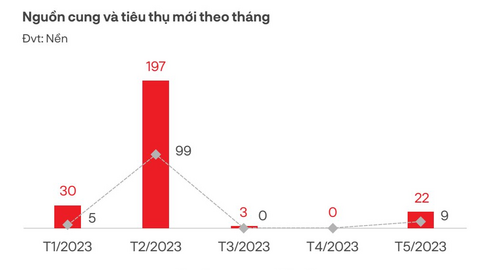 Vào mùa du lịch, thị trường bất động sản Đà Nẵng diễn biến ra sao?