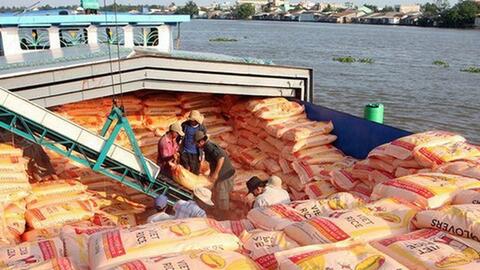 Xuất khẩu gạo, rau quả dự kiến lập kỷ lục mới