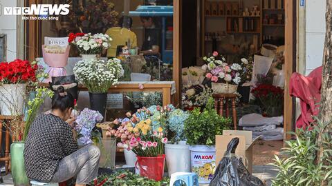 Giá hoa 20/10 giảm nhẹ, người bán không kịp ngơi tay
