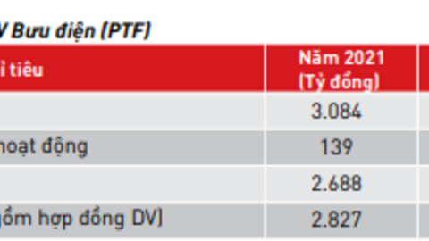 PTF - Công ty tài chính vừa được Seabank bán với giá 4.300 tỷ đồng cho AEON Financial đang làm ăn ra sao?
