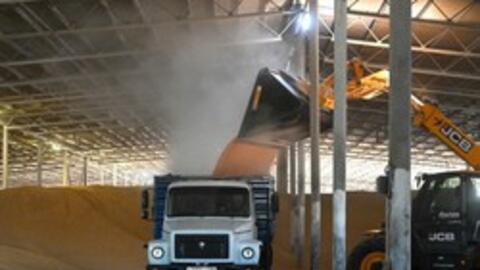 Nga xem xét lệnh cấm xuất khẩu ngũ cốc