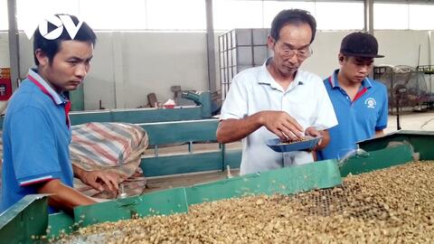 Lừa đảo thương mại có quy mô nhỏ nhưng mật độ tăng rất nhanh