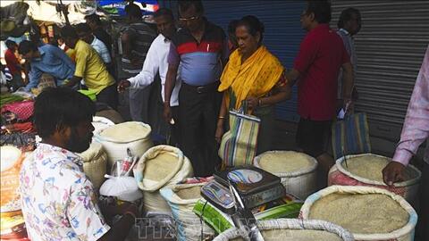 Thị trường gạo trước nguy cơ tiếp tục khó khăn