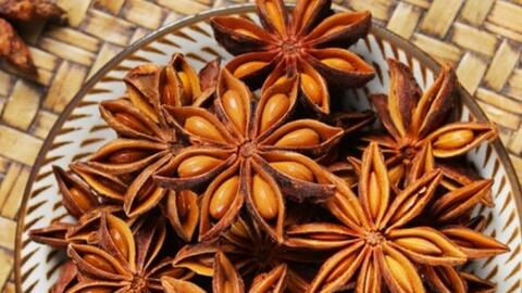 Lộ diện doanh nghiệp xuất khẩu "bát giác hồi hương" lớn nhất Việt Nam: Sở hữu 6 nhà máy, hơn 237 tỷ đồng vốn điều lệ, tăng trưởng hơn 180% năm 2023