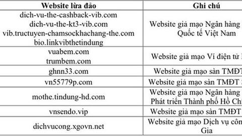 Truy cập vào website giao diện giống hệt trang web của ngân hàng, người dùng "bay" sạch tiền trong tài khoản