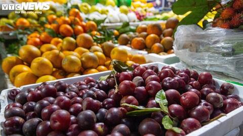 Đắt hơn thịt, mận đầu mùa giá gần 300.000 đồng/kg, khách không tiếc tiền mua