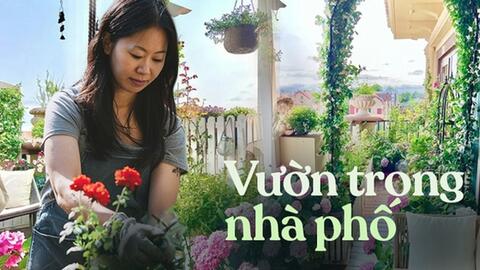 Bất chấp nhiều phản đối, tôi vẫn nhất quyết mua căn chung cư ở tầng cao nhất và biến ban công thành một khu vườn