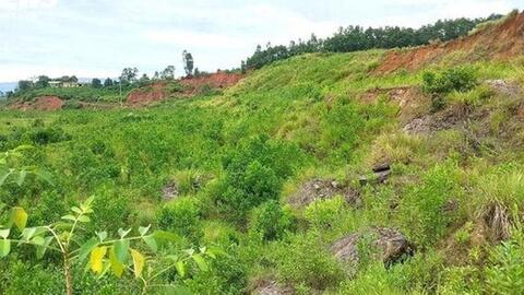 Thẩm quyền quyết định chuyển mục đích sử dụng đất