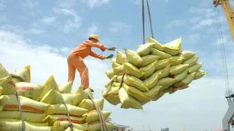 Giá xuất khẩu gạo tăng cao