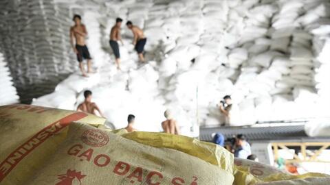 Giá gạo tăng cao, dự báo xuất khẩu lập kỷ lục