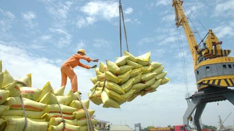 Xuất khẩu gạo có thể vượt kỷ lục của năm 2023