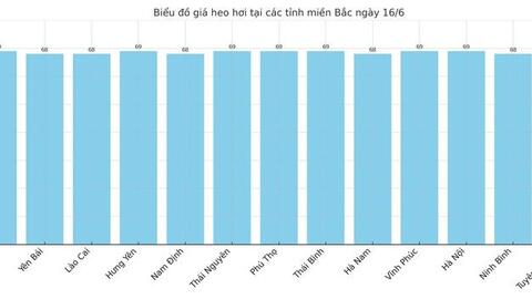 Giá heo hơi hôm nay 16/6/2025: Tăng mạnh tại miền Nam