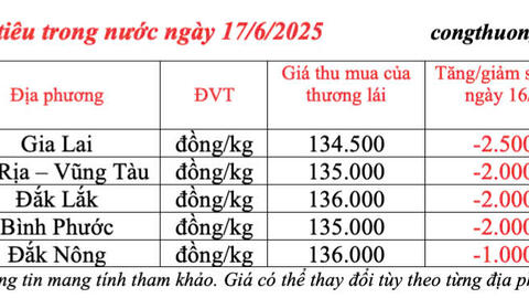 Giá tiêu hôm nay 17/6/2025: trong nước tiếp đà giảm