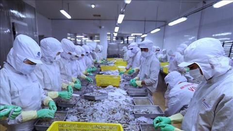 Tháo gỡ điểm nghẽn, thúc đẩy xuất khẩu sang thị trường Nga và Belarus