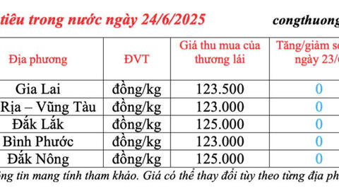 Giá tiêu hôm nay 24/6/2025: trong nước cao nhất 125.000 đồng/kg