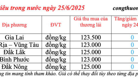 Giá tiêu hôm nay 25/6/2025: trong nước  duy trì bình ổn