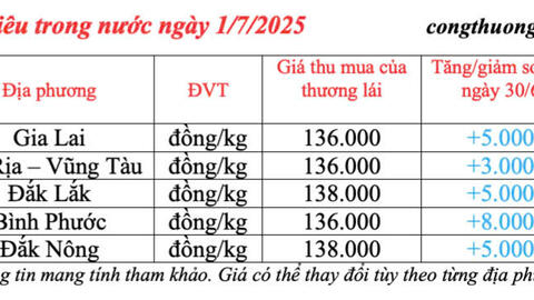 Giá tiêu hôm nay 1/7/2025: trong nước lấy lại đà tăng cao