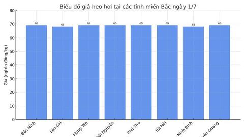 Giá heo hơi hôm nay 1/7/2025: Giảm nhẹ tại miền Trung - Tây Nguyên