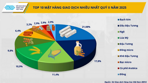 Sức mạnh giành thị phần: 5 công ty môi giới hàng hóa giữ vị thế áp đảo