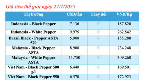 Giá tiêu hôm nay 27/7/2025: Thị trường đi ngang,  Đắk Lắk giảm nhẹ