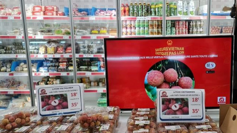 Thực thi EVFTA, kim ngạch thương mại Việt Nam - Pháp hướng đến 15 tỷ USD