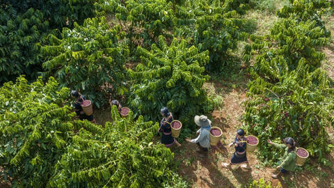 Khi doanh nghiệp tư nhân không đứng ngoài 'cuộc chơi' phát triển đất nước