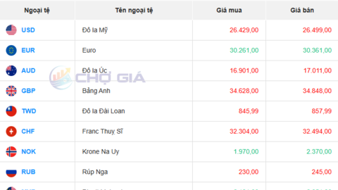 Tỷ giá USD hôm nay 05/08/2025: Đồng USD phục hồi sau cú trượt