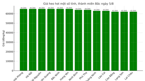 Giá heo hơi hôm nay ngày 5/8/2025: Bất ngờ đi ngang trên cả 3 miền