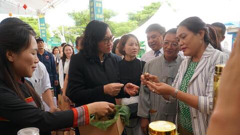 Đà Nẵng: Xúc tiến thương mại cho sâm Ngọc Linh