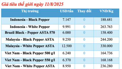 Giá tiêu hôm nay 11/8/2025:  Đi ngang trong phiên đầu tuần