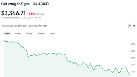 Giá vàng hôm nay 12/08/2025
