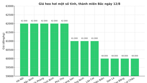 Giá heo hơi hôm nay 12/8/2025: Miền Nam giữ giá, miền Bắc giảm nhẹ