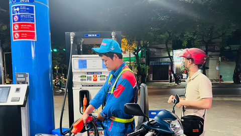 Giá xăng dầu hôm nay 15/8/2025: Giá dầu nhích tăng, giá xăng giảm sâu