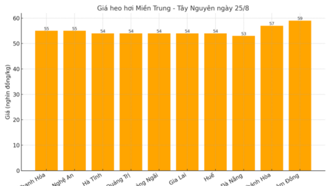 Giá heo hơi hôm nay 25/8/2025: Đồng loạt đi ngang