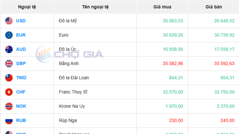 Tỷ giá USD hôm nay 26/08/2025: Đồng USD ổn định trở lại