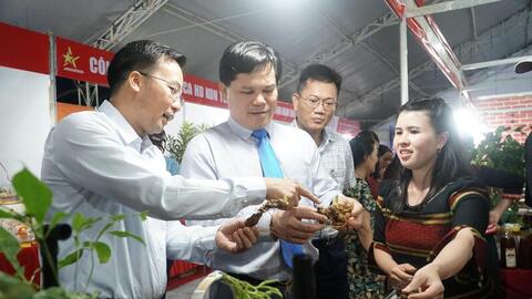 Quảng Ngãi: Xúc tiến thương mại cho sản phẩm vùng dân tộc thiểu số