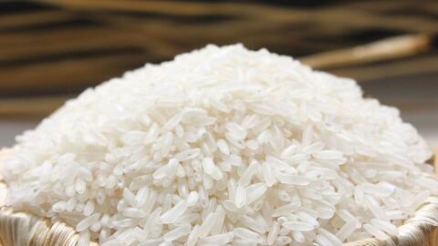 Xuất khẩu gạo giữ vững vị thế nhưng chịu áp lực giảm giá trị