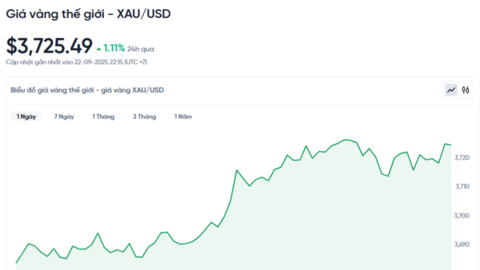 Giá vàng hôm nay 23/09/2025: Bật tăng