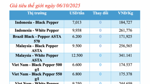 Giá tiêu hôm nay 6/10/2025: Không biến động
