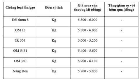 Giá lúa gạo hôm nay ngày 7/10: Thị trường trầm lắng