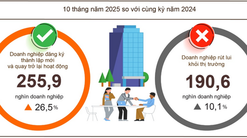Doanh nghiệp thành lập mới tăng gần 20%, vốn bổ sung vào nền kinh tế tăng vọt 98%