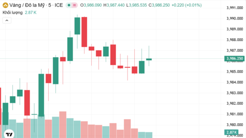 Ngày 6/11: Giá vàng trong nước tăng
